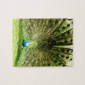 孔雀の表示色 ジグソーパズル (横)