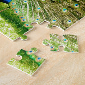 孔雀の表示色 ジグソーパズル (側面)