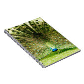 孔雀の表示色 ノートブック (右側)