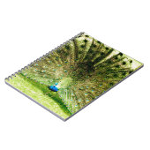 孔雀の表示色 ノートブック (左側)