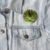 孔雀の表示色 缶バッジ (インサイチュ)