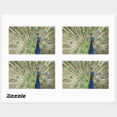 孔雀の表示 長方形シール (シート)