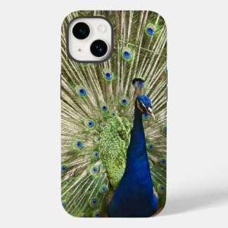 孔雀の表示 Case-Mate iPhone 14ケース