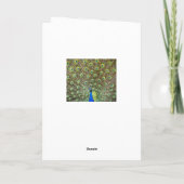 孔雀の誕生日メッセージ ノートカード (裏面)