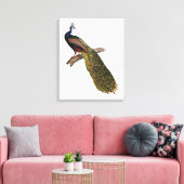 孔雀の象徴 キャンバスプリント (インサイチュ (リビング))