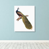 孔雀の象徴 キャンバスプリント (インサイチュ (ウッドフロア))