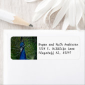 孔雀の顔 ラベル (インサイチュ)