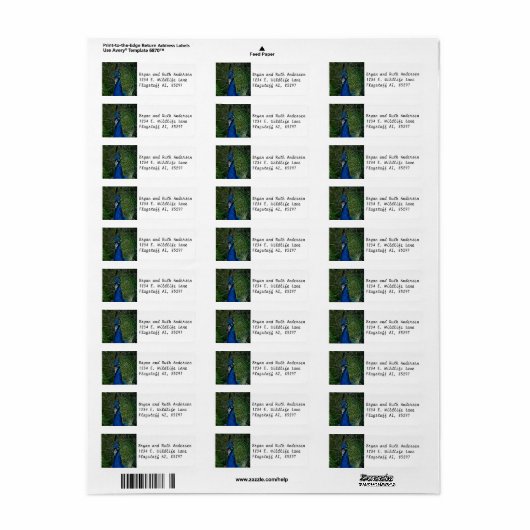 孔雀の顔 ラベル (フルシート)