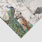 孔雀の鳥のウミガメのフグのフランス人の短命なもの 薄葉紙 (詳細)