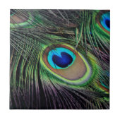 孔雀の鳥のクジャク タイル (正面)