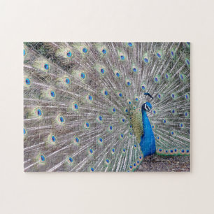 孔雀の鳥のパズル ジグソーパズル