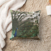孔雀の鳥の羽毛とアルビノ・ピーヘンの写真 クッション (ブランケット)