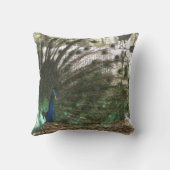 孔雀の鳥の羽毛とアルビノ・ピーヘンの写真 クッション (裏面)