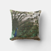 孔雀の鳥の羽毛とアルビノ・ピーヘンの写真 クッション (正面)