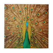 孔雀の鳥の羽 タイル (正面)