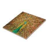 孔雀の鳥の羽 タイル (側面)