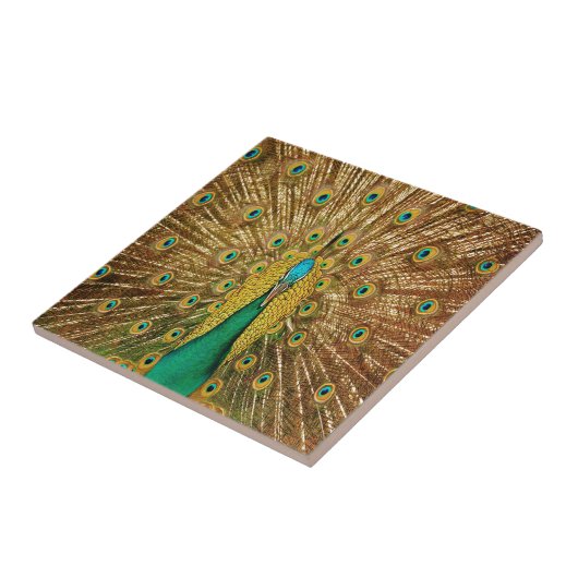 孔雀の鳥の羽 タイル (側面)