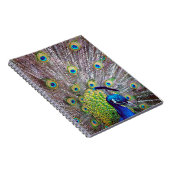 孔雀の鳥の羽 ノートブック (右側)