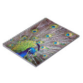 孔雀の鳥の羽 ノートブック (左側)