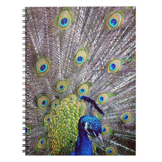 孔雀の鳥の羽 ノートブック (正面)