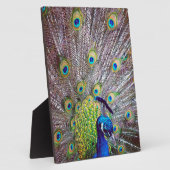 孔雀の鳥の羽 フォトプラーク (側面)