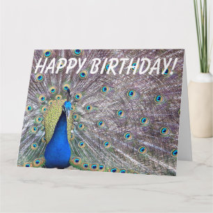 孔雀の鳥の誕生日の大きい挨拶状 カード