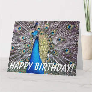 孔雀の鳥の誕生日の大きい挨拶状 カード