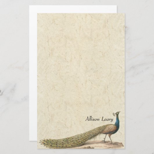 孔雀の鳥の野性生物動物の文房具 便箋 (正面/裏面)