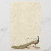 孔雀の鳥の野性生物動物の文房具 便箋 (正面)