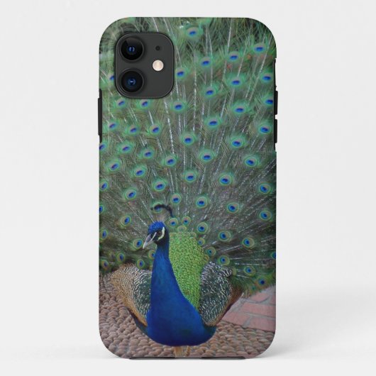 孔雀のiPhone 5の場合 Case-Mate iPhoneケース (裏面)