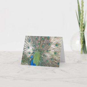 孔雀のnotecards カード
