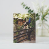 孔雀はがき ポストカード (スタンド正面)