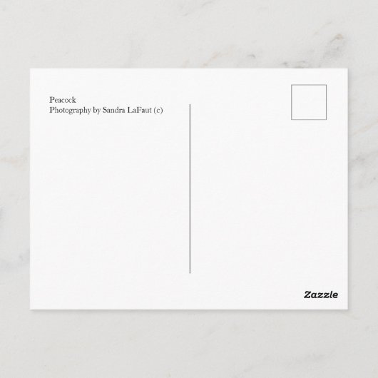 孔雀はがき ポストカード (裏面)