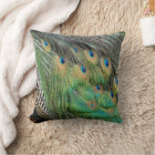 孔雀はタンの緑および青色に羽をつけます クッション (ブランケット)