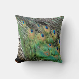 孔雀はタンの緑および青色に羽をつけます クッション