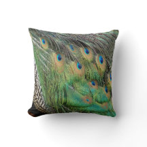 孔雀はタンの緑および青色に羽をつけます