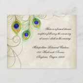 孔雀は披露宴の招待状カードに羽をつけます エンクロージャーカード (裏面)