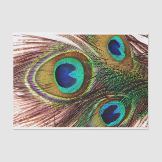 孔雀は4ティッシュペーパーに羽をつけます 薄葉紙 (正面)