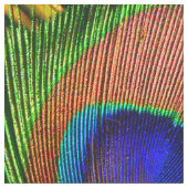 孔雀は6Bカスタムに羽をつけます ファブリック (クローズアップ)