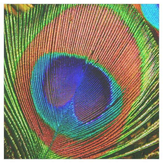 孔雀は6Bカスタムに羽をつけます ファブリック (見本)