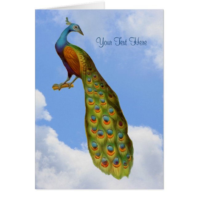 孔雀アート動物カード (正面)