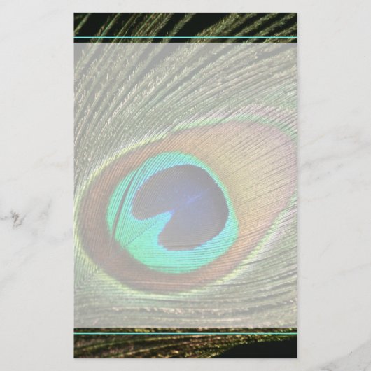 孔雀エレガント羽 便箋 (正面)