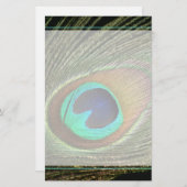 孔雀エレガント羽 便箋 (正面/裏面)