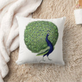 孔雀オープンファン クッション (ブランケット)