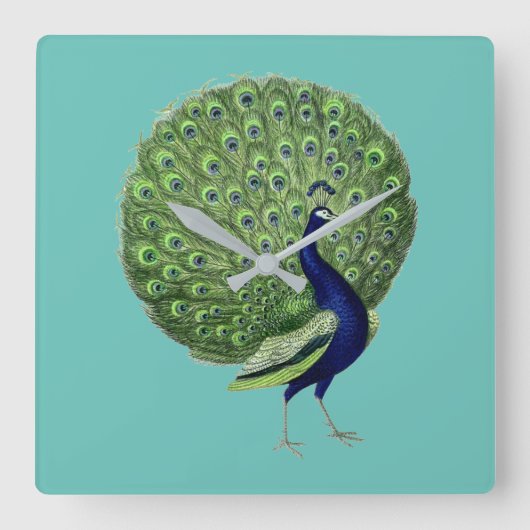 孔雀オープンファン スクエア壁時計 (正面)