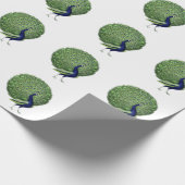 孔雀オープンファン ラッピングペーパー (角)