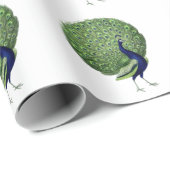 孔雀オープンファン ラッピングペーパー (ロールコーナー)