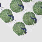 孔雀オープンファン 薄葉紙 (詳細)