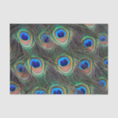 孔雀カラフル羽アイズポットパターン 薄葉紙 (正面)
