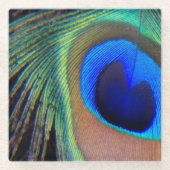 孔雀カラフル羽アイズポット ガラスコースター (正面)